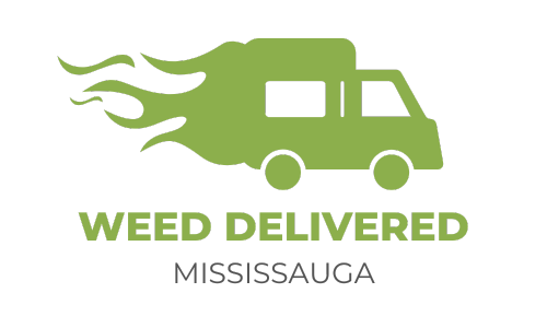 Weed Delivery in Mississauga – Fast & Reliable Service