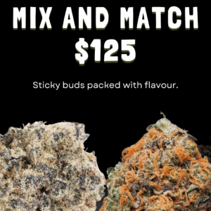 Mix & Match $125 Strains