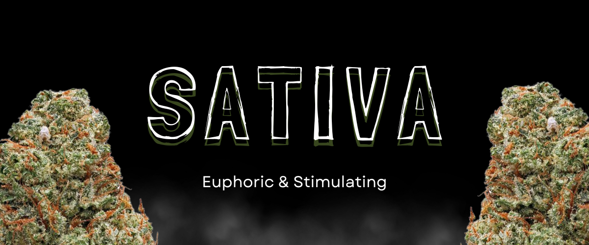 Energizing sativa flower available for cannabis delivery in Mississauga
