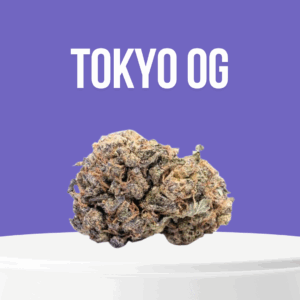 Tokyo OG cannabis buds with dense structure and frosty trichomes