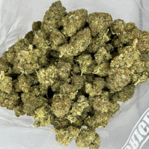 Sensi Star