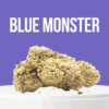 Blue Monster