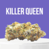 Killer Queen cannabis buds with bright orange hairs and frosty trichomes
