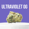 UltraViolet OG cannabis buds with deep purple tones and frosty crystals