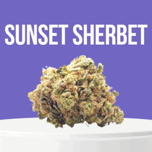 Sunset Sherbet cannabis buds with purple hues and frosty trichomes