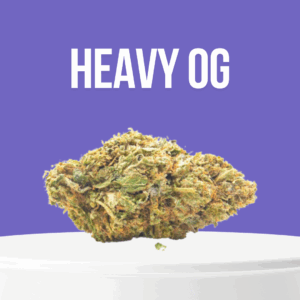 Heavy OG cannabis buds with dense structure and rich green hues coated in trichomes