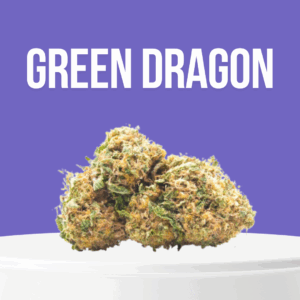 Green Dragon cannabis buds with forest green color and thick trichomes