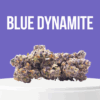 Blue Dynamite cannabis buds with purple hues, frosty trichomes, and berry aroma