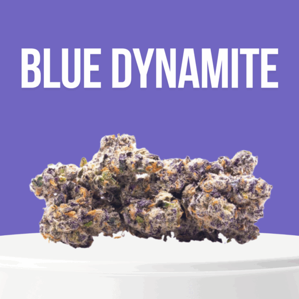 Blue Dynamite cannabis buds with purple hues, frosty trichomes, and berry aroma
