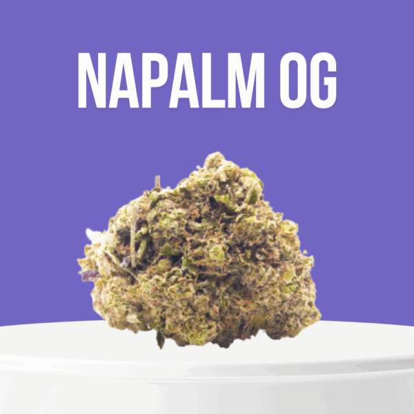 Napalm OG cannabis buds with dense structure and heavy trichome coverage