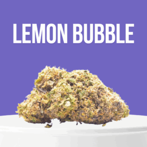 Lemon Bubble cannabis buds with bright green color, citrus tones, and frosty trichomes