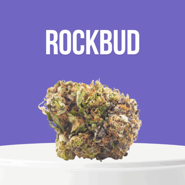 Rockbud cannabis buds with dense, resin-coated structure and earthy green tones