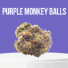Purple Monkey Balls cannabis buds with deep purple hues and frosty trichomes