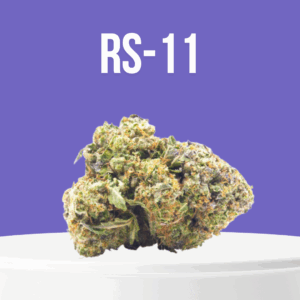 RS-11 cannabis buds with colorful tones and thick trichome coverage