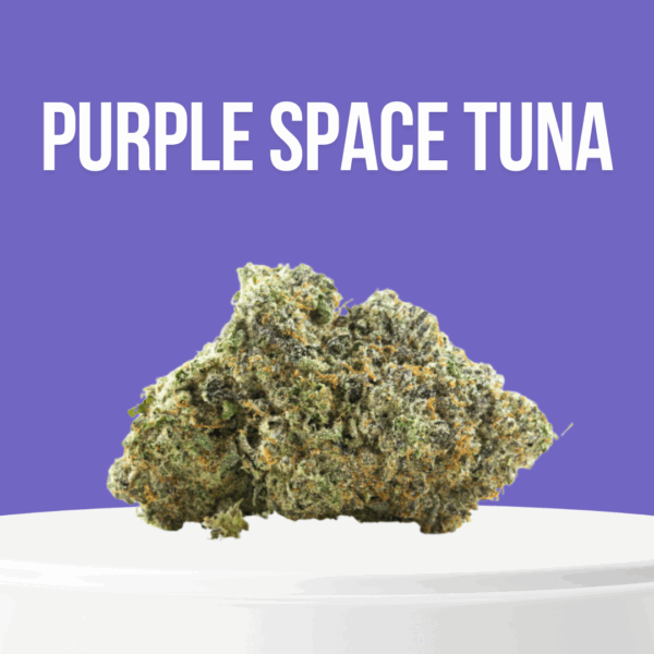 Purple Space Tuna cannabis buds with deep purple hues and thick trichome frost