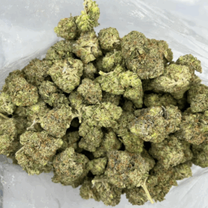 Zombie OG cannabis buds
